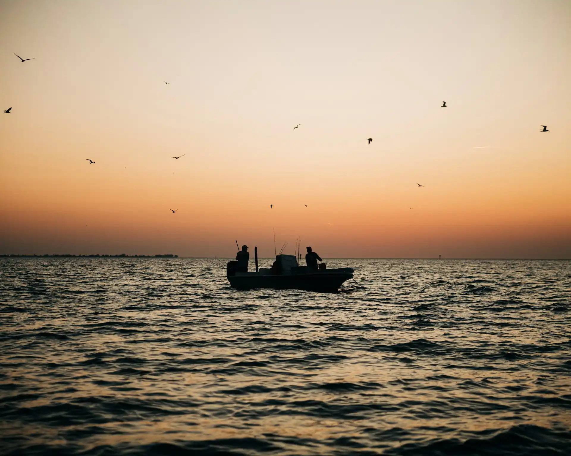 Bass Coast - VIC - simon-maage-unsplash