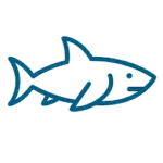SharkSmart WA Alerts